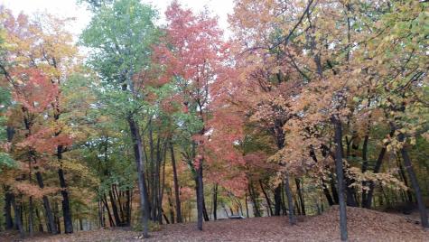 893 White Clover Beach Road Detroit Lakes MN 56501