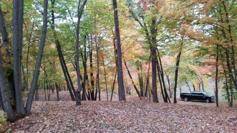 893 White Clover Beach Road Detroit Lakes MN 56501