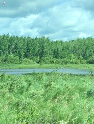 Tbd Rice Rapids Road Effie MN 56639