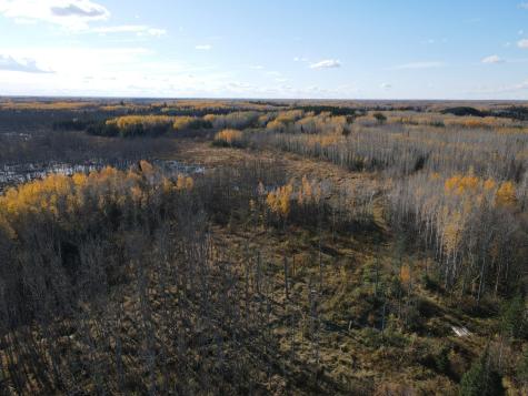 Tbd Rice Rapids Road Effie MN 56639