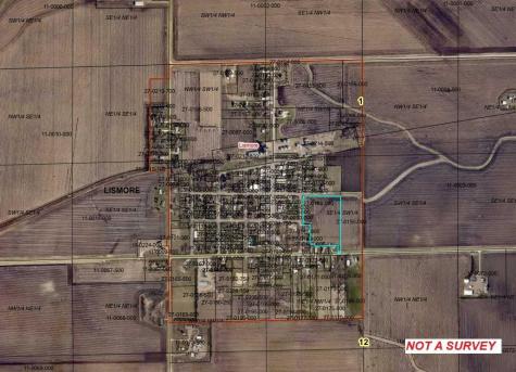 Tbd 4th Street Lismore MN 56155