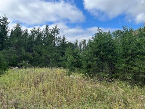1707 Hassman Hill Tract D Road SW Pine River MN 56474