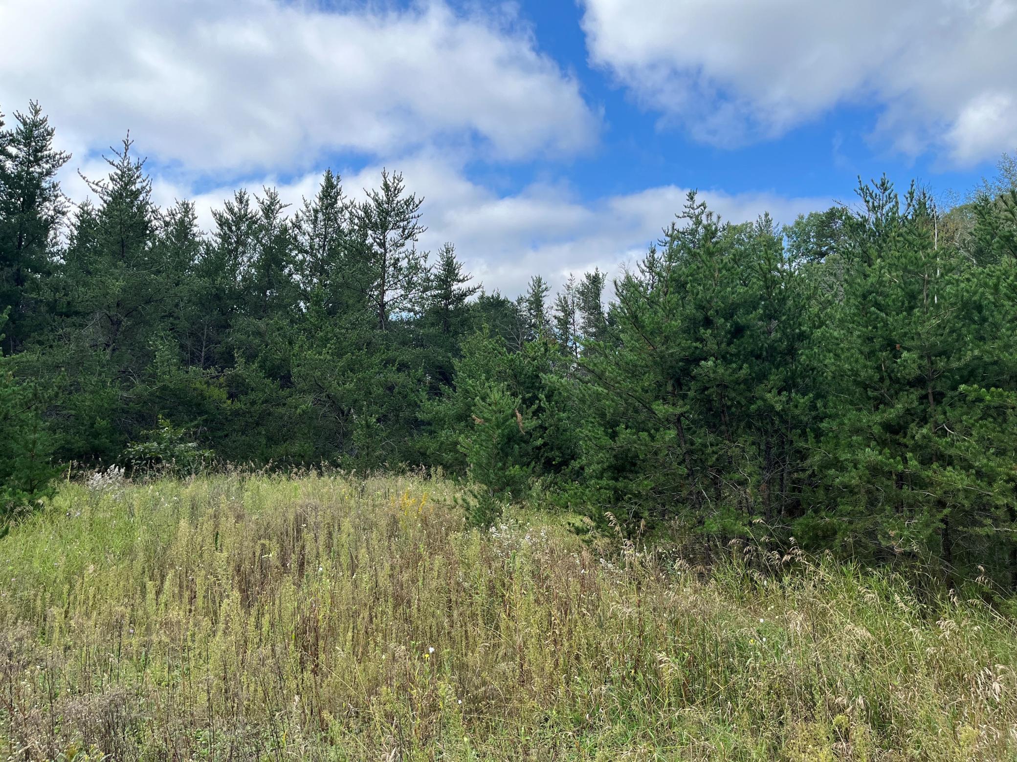 1707 Hassman Hill Tract D Road SW Pine River MN 56474