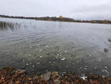 50943 Fish Lake Road Detroit Lakes MN 56501