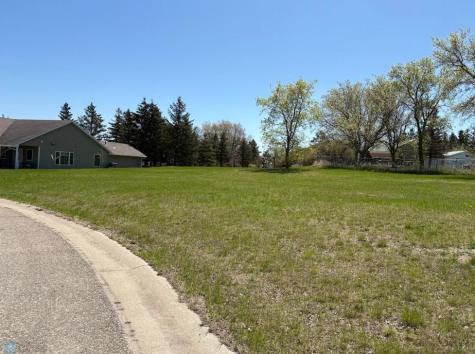 1111 Red Willow Circle Frazee MN 56544