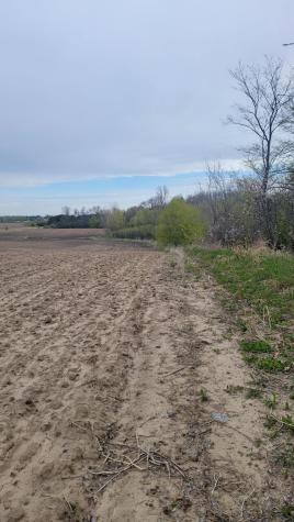 3937 405th Avenue NE Stanchfield MN 55080