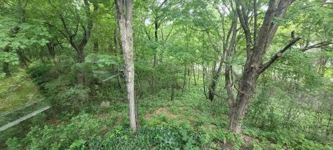 4893 Woodhurst Lane Minnetonka MN 55345