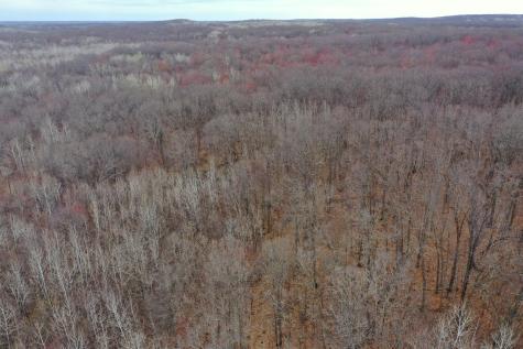 Tbd Barrett Trail Trego WI 54888