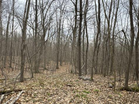 Tbd Barrett Trail Trego WI 54888