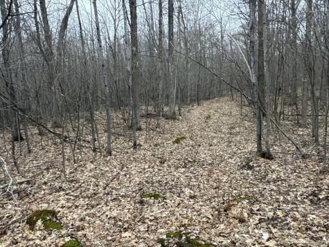 Tbd Barrett Trail Trego WI 54888