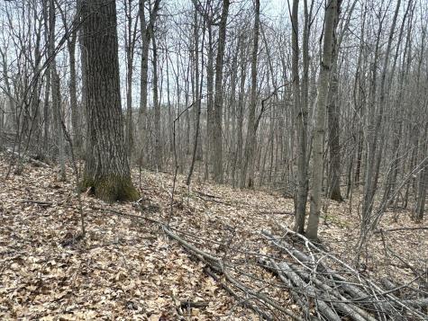 Tbd Barrett Trail Trego WI 54888