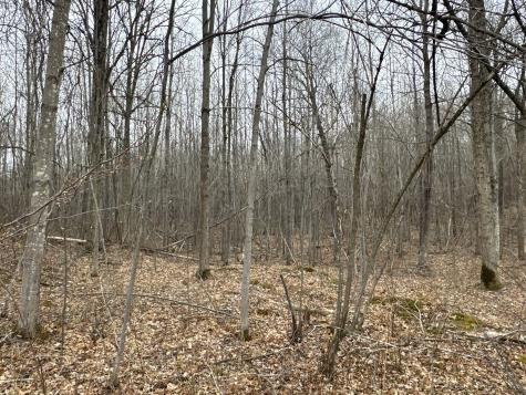 Tbd Barrett Trail Trego WI 54888