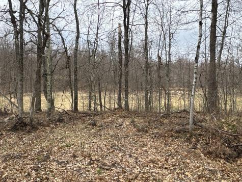 Tbd Barrett Trail Trego WI 54888
