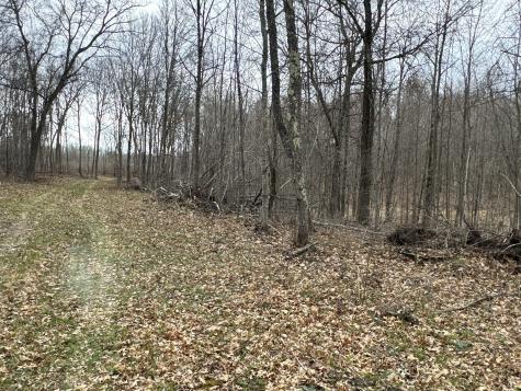 Tbd Barrett Trail Trego WI 54888