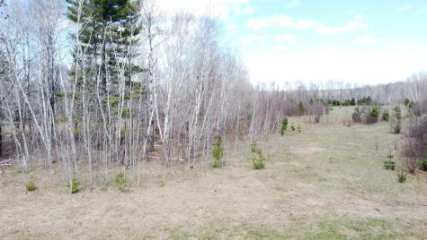 Tbd County Road 36 Emily MN 56447