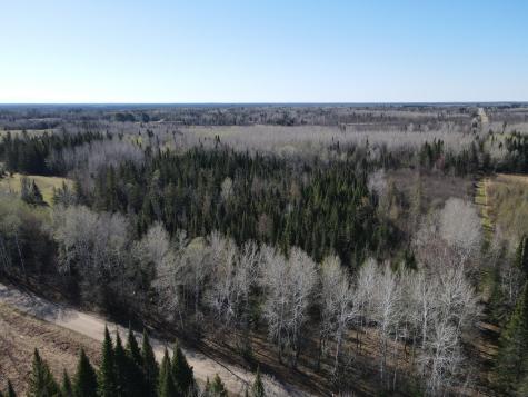 Parcel B Township Road D Wawina MN 55736