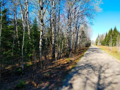 Parcel B Township Road D Wawina MN 55736