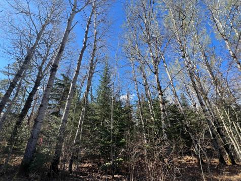 Parcel B Township Road D Wawina MN 55736