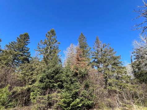Parcel B Township Road D Wawina MN 55736