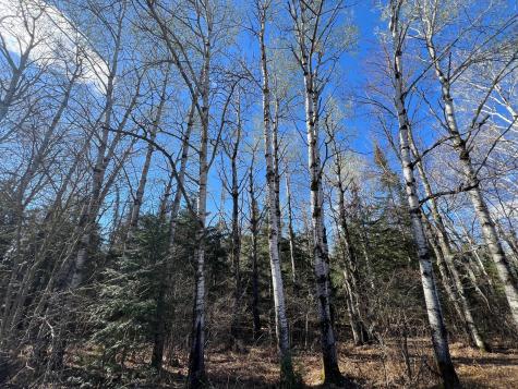 Parcel B Township Road D Wawina MN 55736