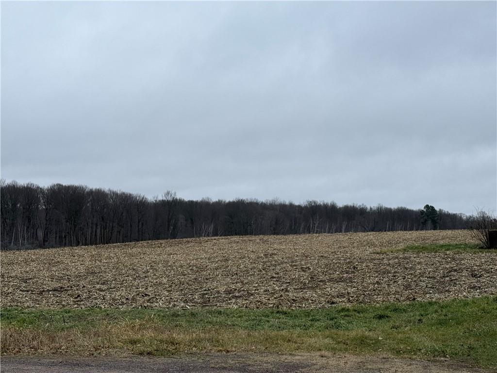 Lot 1 County Hwy D Sarona WI 54870