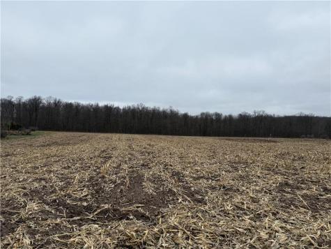 Lot 1 County Hwy D Sarona WI 54870