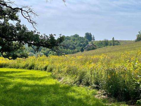 Tbd County 8 Spring Grove MN 55954