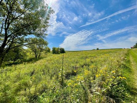 Tbd County 8 Spring Grove MN 55954