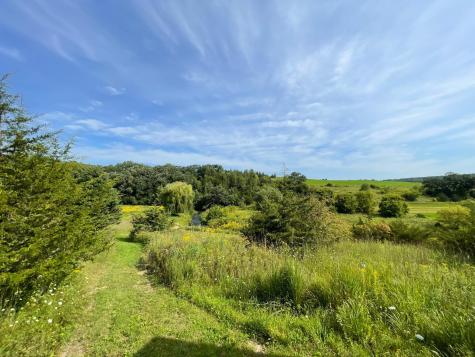 Tbd County 8 Spring Grove MN 55954