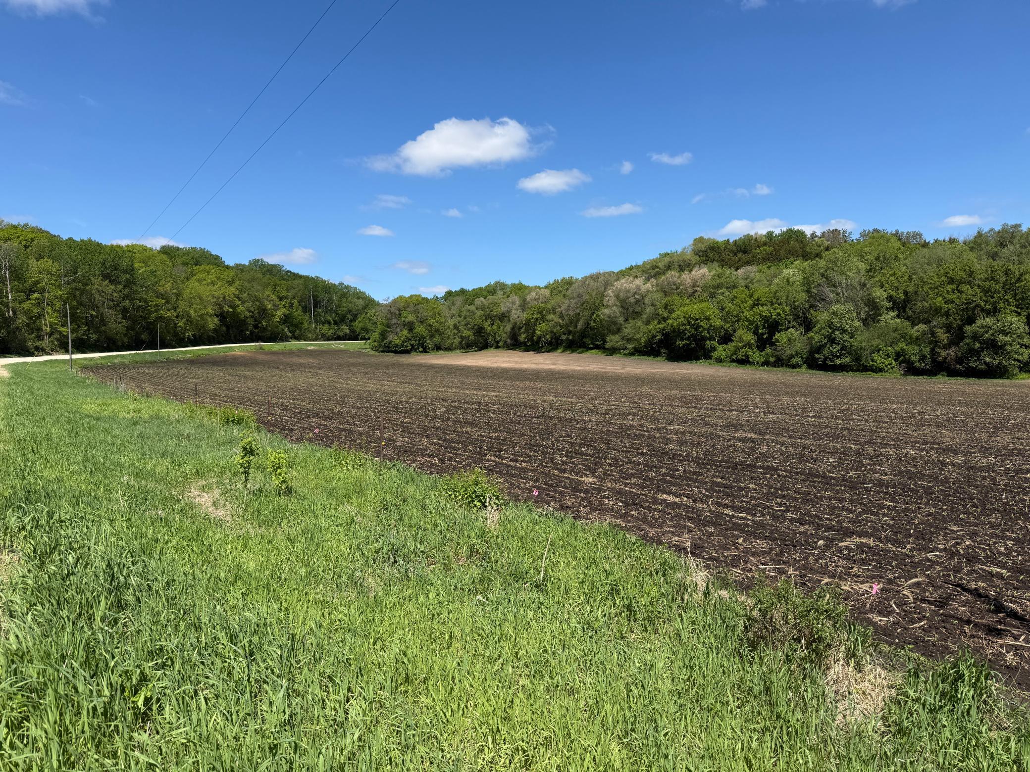 19XX 65th St NE Rochester MN 55906