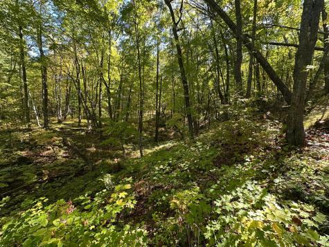 Tbd Kego Lake Road Fifty Lakes MN 56448