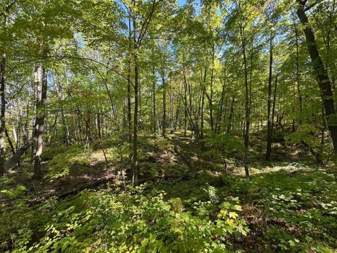 Tbd Kego Lake Road Fifty Lakes MN 56448