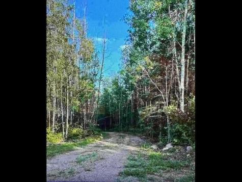 1XX N Creek Drive Biwabik MN 55708