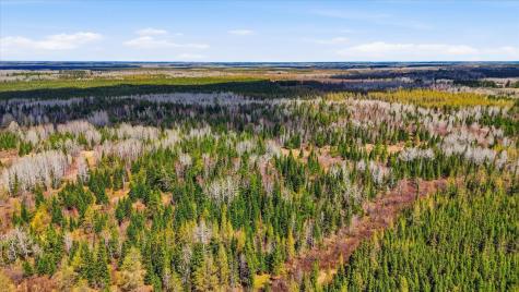 8849 Highway 25 Angora MN 55703