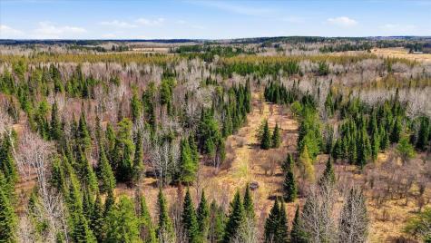 8849 Highway 25 Angora MN 55703