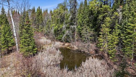 8849 Highway 25 Angora MN 55703