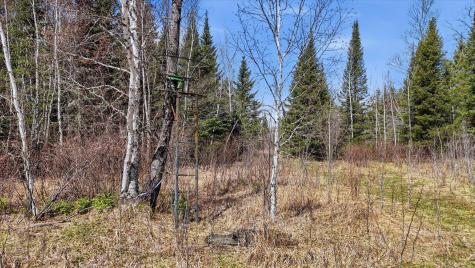 8849 Highway 25 Angora MN 55703