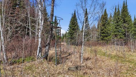 8849 Highway 25 Angora MN 55703