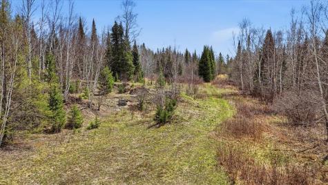 8849 Highway 25 Angora MN 55703