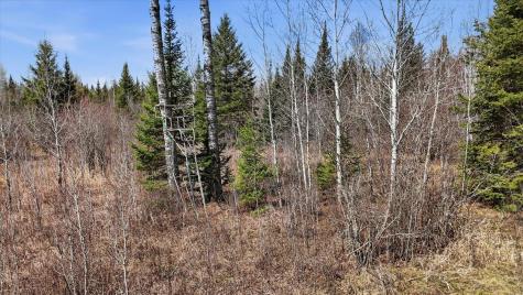 8849 Highway 25 Angora MN 55703