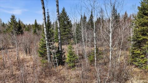 8849 Highway 25 Angora MN 55703