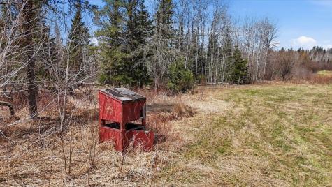 8849 Highway 25 Angora MN 55703