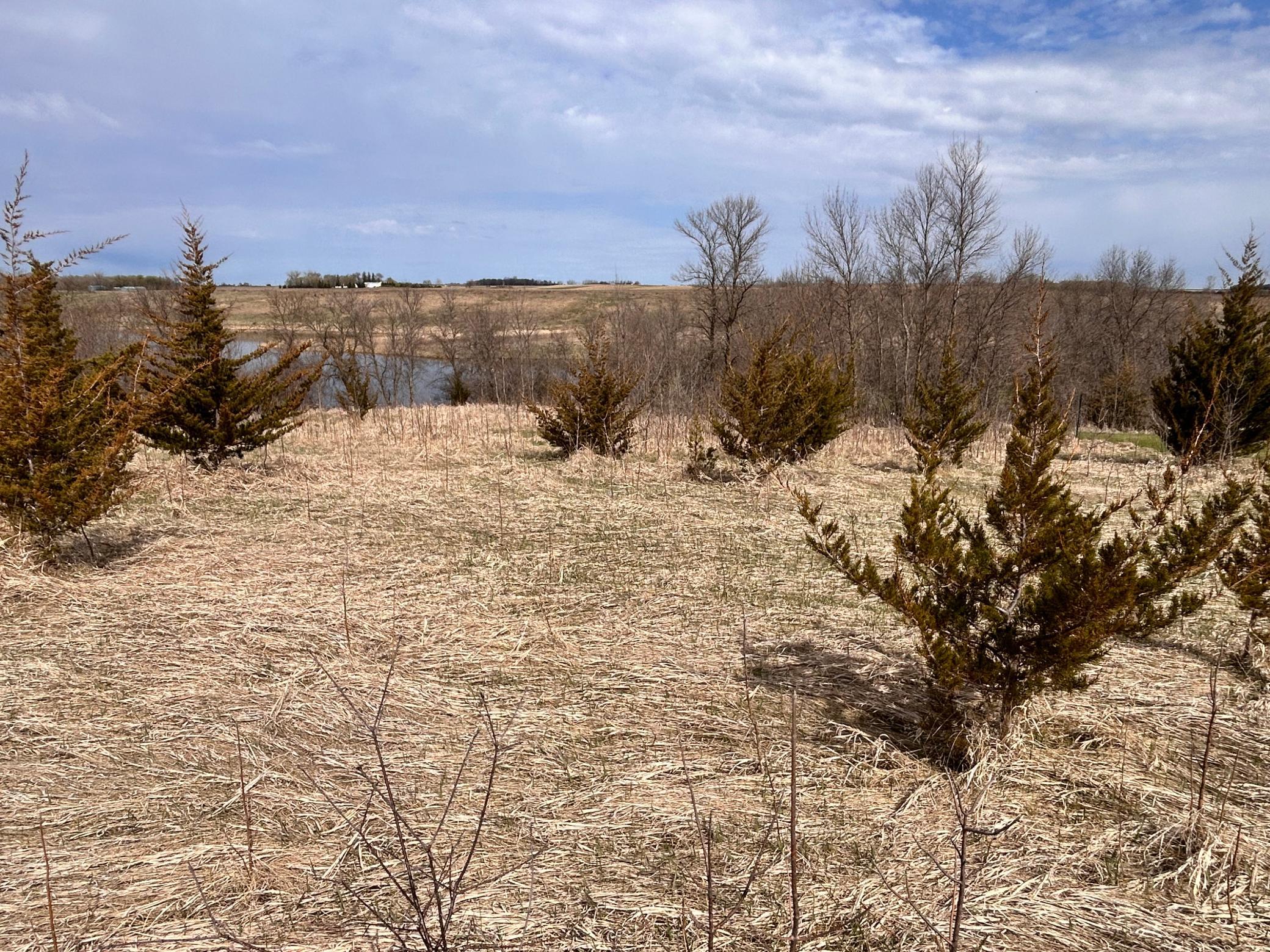 Lot 6 215th Street Barrett MN 56311