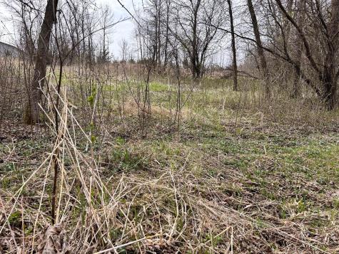 Lot 6 215th Street Barrett MN 56311