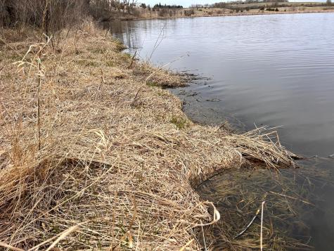 Lot 6 215th Street Barrett MN 56311