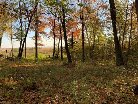 Tbd Grouse Loop NW Walker MN 56484