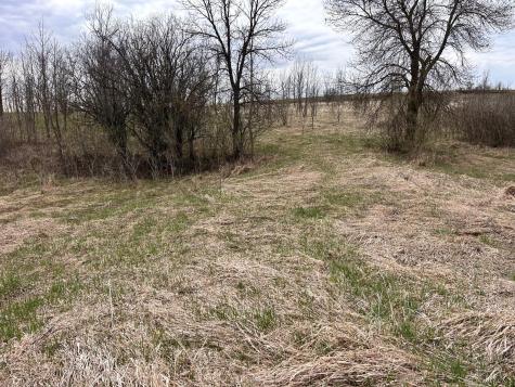 Lot 20 215th Street Barrett MN 56311