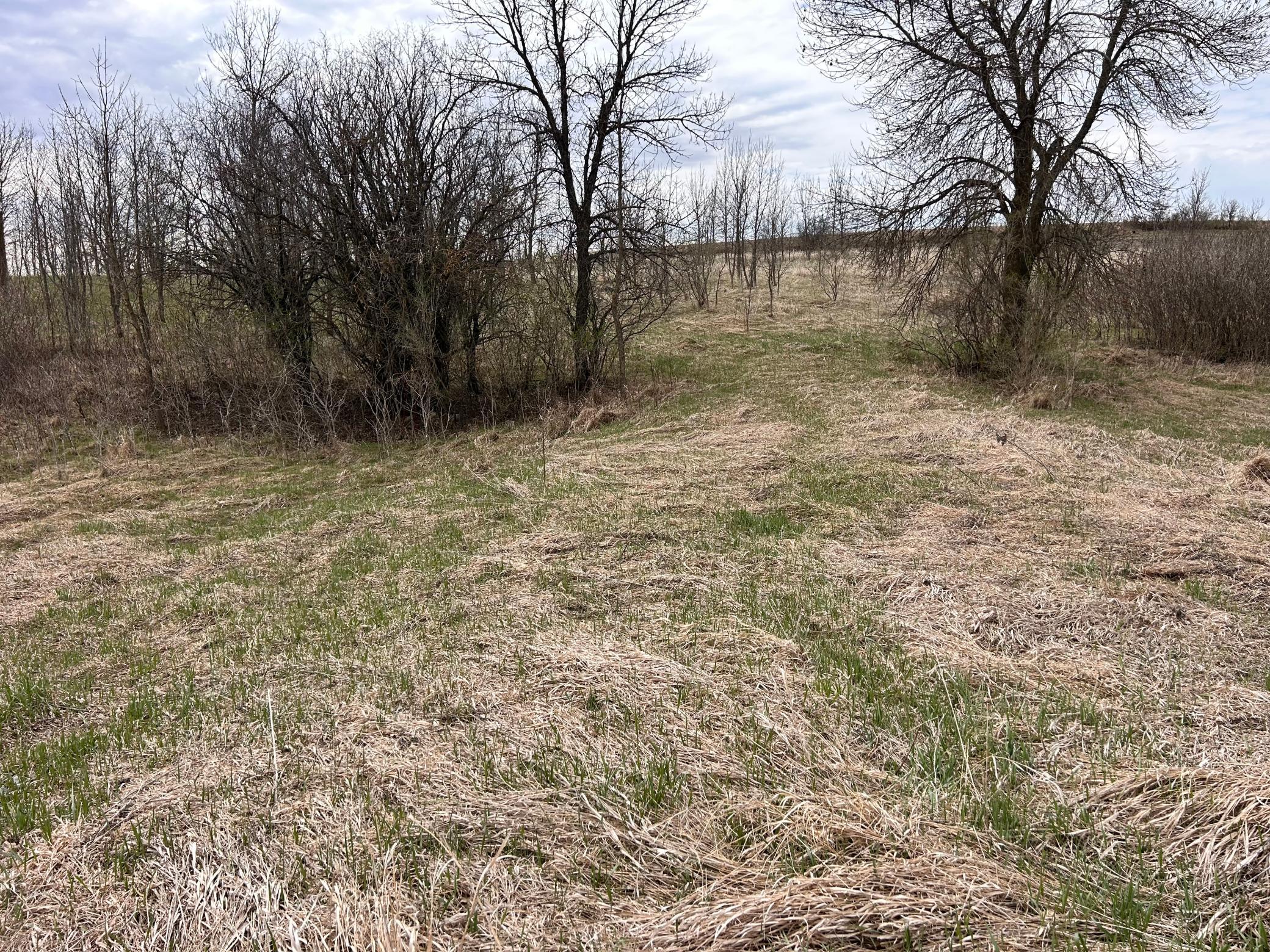 Lot 20 215th Street Barrett MN 56311