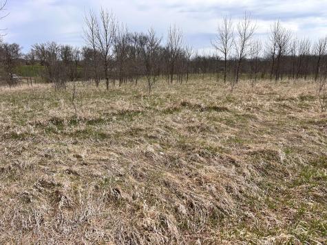 Lot 20 215th Street Barrett MN 56311