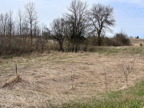 Lot 20 215th Street Barrett MN 56311